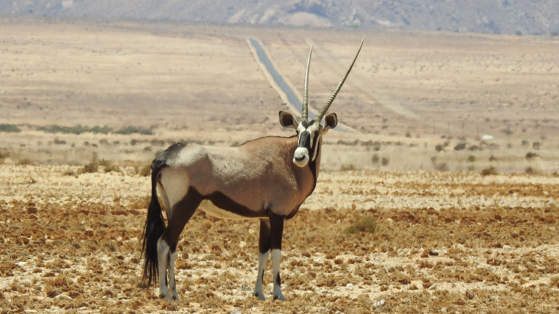 vliegtickets naar Namibië | vliegtickets.com