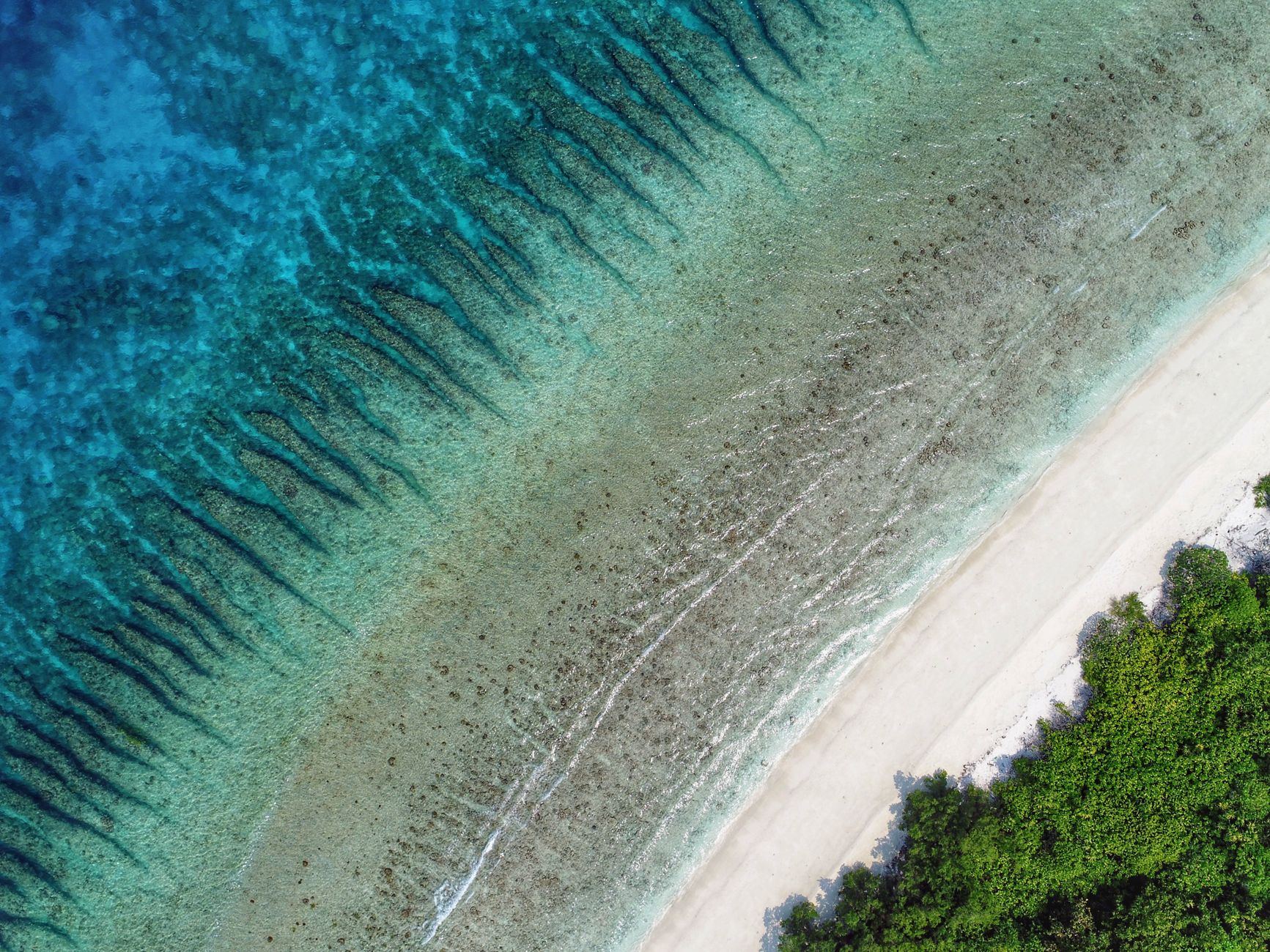 Haa Dhaalu Atoll