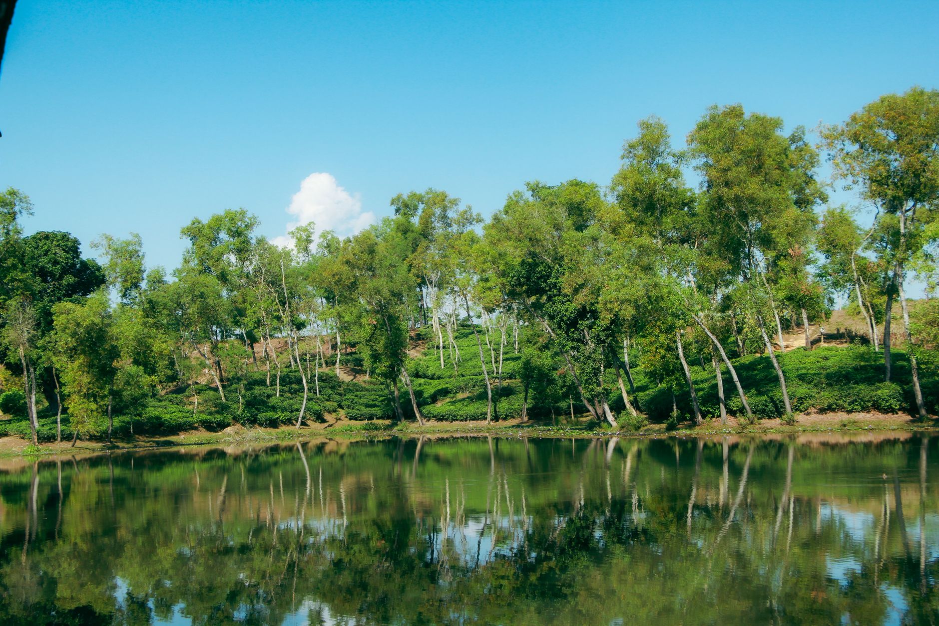 vliegtickets naar Sylhet | vliegtickets.com