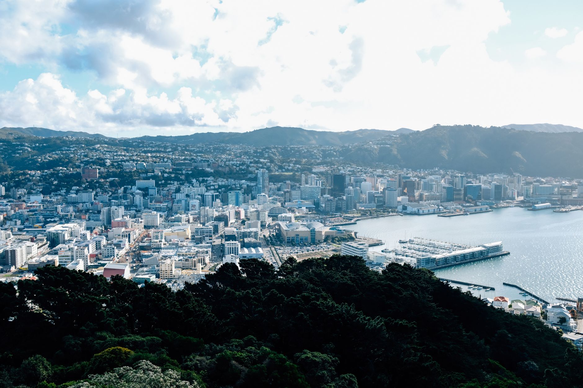 vliegtickets naar Wellington | vliegtickets.com